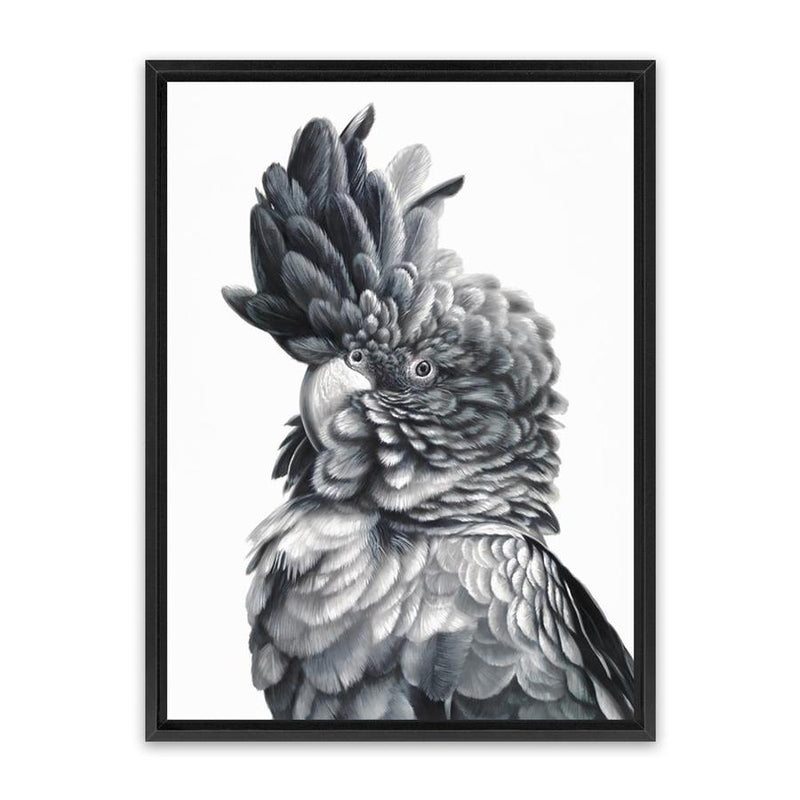 Shop Black Cockatoo Close-Up Canvas Art Print-Animals, Baby Nursery, Birds, Black, Grey, Portrait, Scandinavian, Tropical, View All, White-framed wall decor artwork