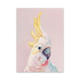 Shop Charlie The Cockatoo (Pink) Canvas Art Print-Animals, Baby Nursery, Birds, Pink, Portrait, Tropical, View All, Yellow-framed wall decor artwork