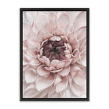 Shop Divine Dahlia II Canvas Art Print-Botanicals, Florals, Hamptons, Pink, Portrait, View All-framed wall decor artwork