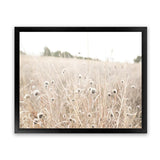 Shop Dried Flower Field Photo Art Print-Boho, Botanicals, Hamptons, Landscape, Neutrals, Photography, View All-framed poster wall decor artwork