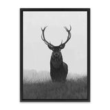 Shop Black & White Elk Canvas Art Print-Animals, Black, Grey, Hamptons, Portrait, Scandinavian, View All, White-framed wall decor artwork