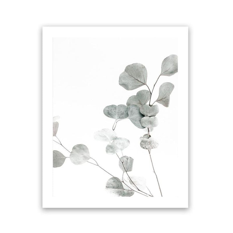 Shop Eucalyptus I Photo Art Print-Botanicals, Florals, Green, Photography, Portrait, View All, White-framed poster wall decor artwork