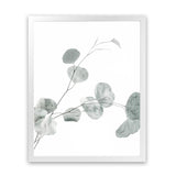 Shop Eucalyptus II Photo Art Print-Botanicals, Green, Photography, Portrait, View All, White-framed poster wall decor artwork