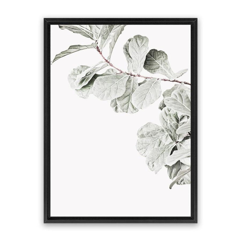 Shop Fiddle-Leaf Fig II Photo Canvas Art Print-Botanicals, Florals, Green, Hamptons, Photography, Photography Canvas Prints, Portrait, View All, White-framed wall decor artwork