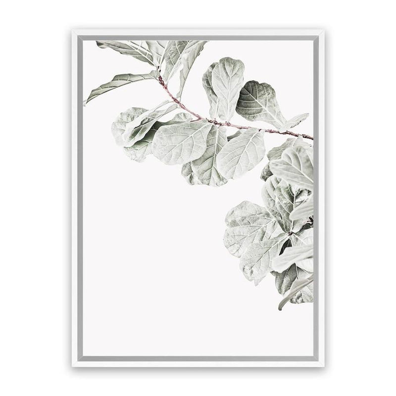 Shop Fiddle-Leaf Fig II Photo Canvas Art Print-Botanicals, Florals, Green, Hamptons, Photography, Photography Canvas Prints, Portrait, View All, White-framed wall decor artwork