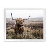 Shop Highland Cow I Photo Art Print-Animals, Brown, Green, Landscape, Photography, Scandinavian, View All-framed poster wall decor artwork