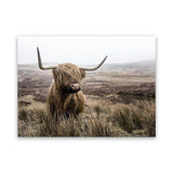 Shop Highland Cow I Photo Canvas Art Print-Animals, Brown, Green, Landscape, Photography, Photography Canvas Prints, Scandinavian, View All-framed wall decor artwork