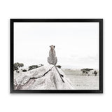 Shop Lookout Point Photo Art Print-African, Animals, Landscape, Neutrals, Photography, View All, White-framed poster wall decor artwork