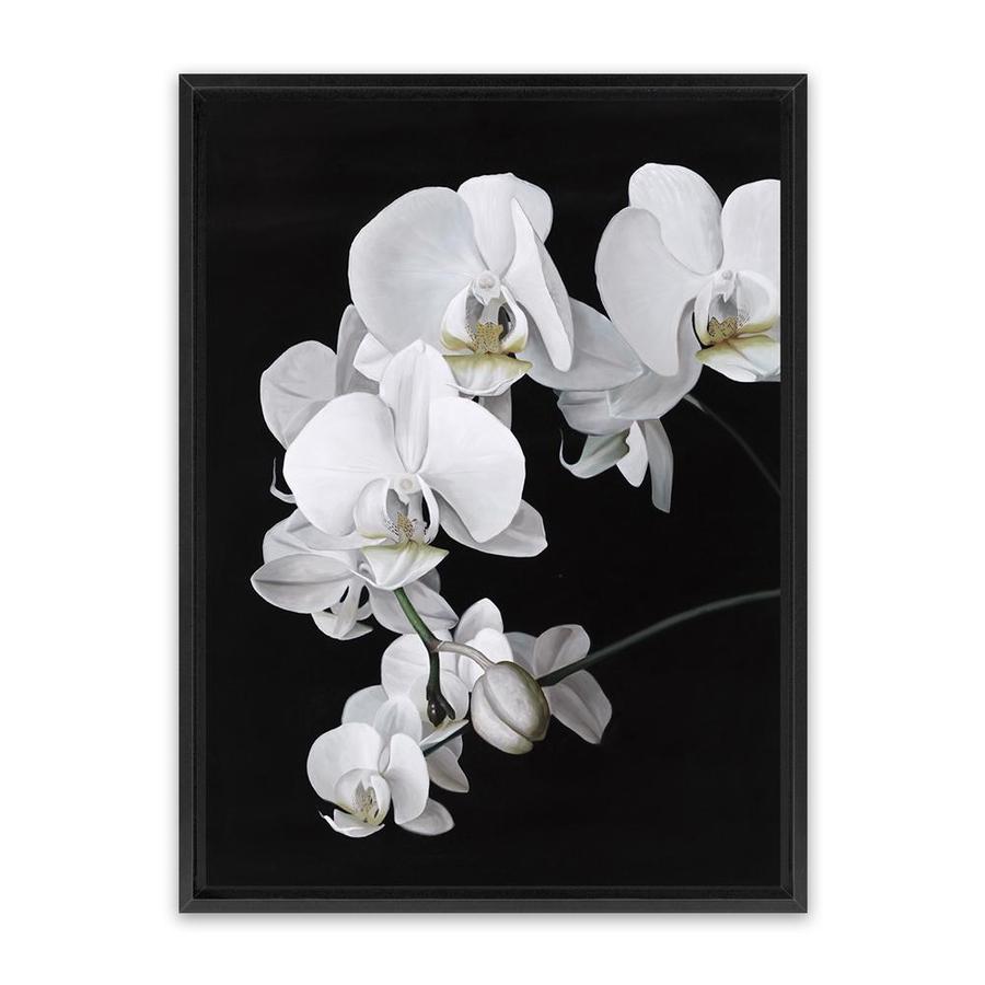 Buy Orchid Canvas Art Print | The Print Emporium®