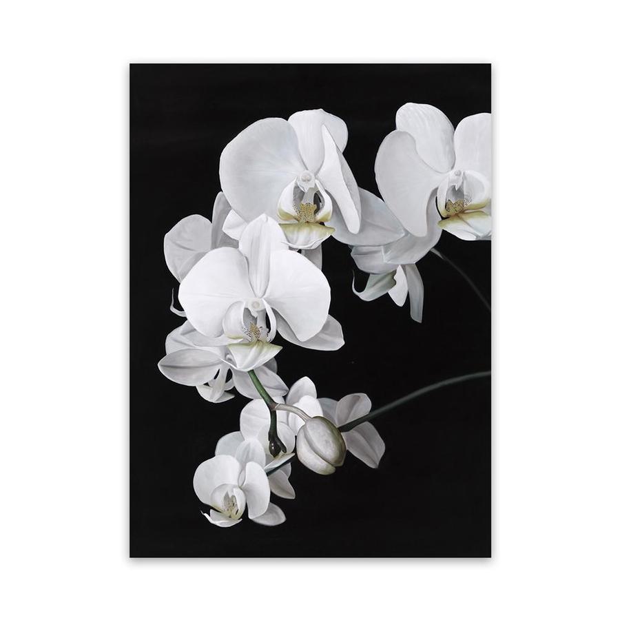 Buy Orchid Canvas Art Print | The Print Emporium®