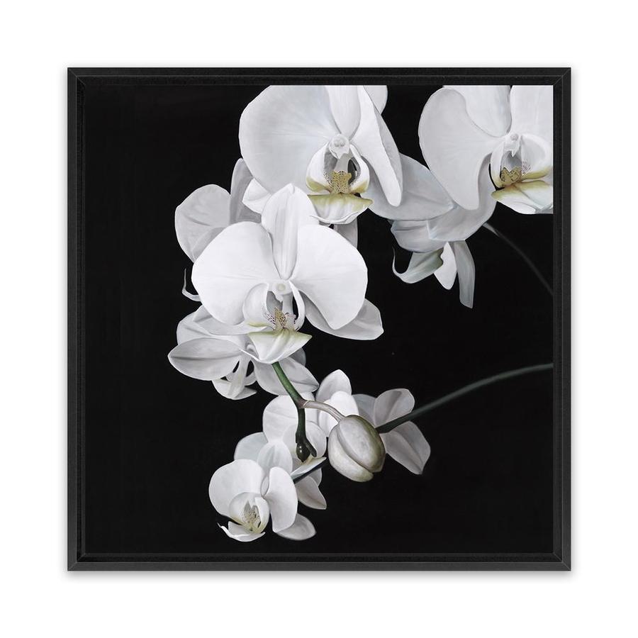 WALL OF ORCHIDS / LIFE MUST GO ON オリジナル版 Buy Orchid Square Canvas Art Print | The Print Emporium®