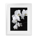 Shop Orchid Art Print-Black, Florals, Hamptons, Portrait, Scandinavian, View All, White-framed painted poster wall decor artwork