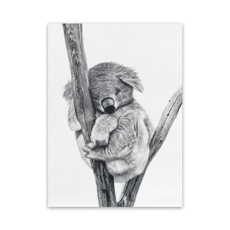 Shop Sleeping Koala Canvas Art Print-Animals, Baby Nursery, Black, Grey, Portrait, View All, White-framed wall decor artwork