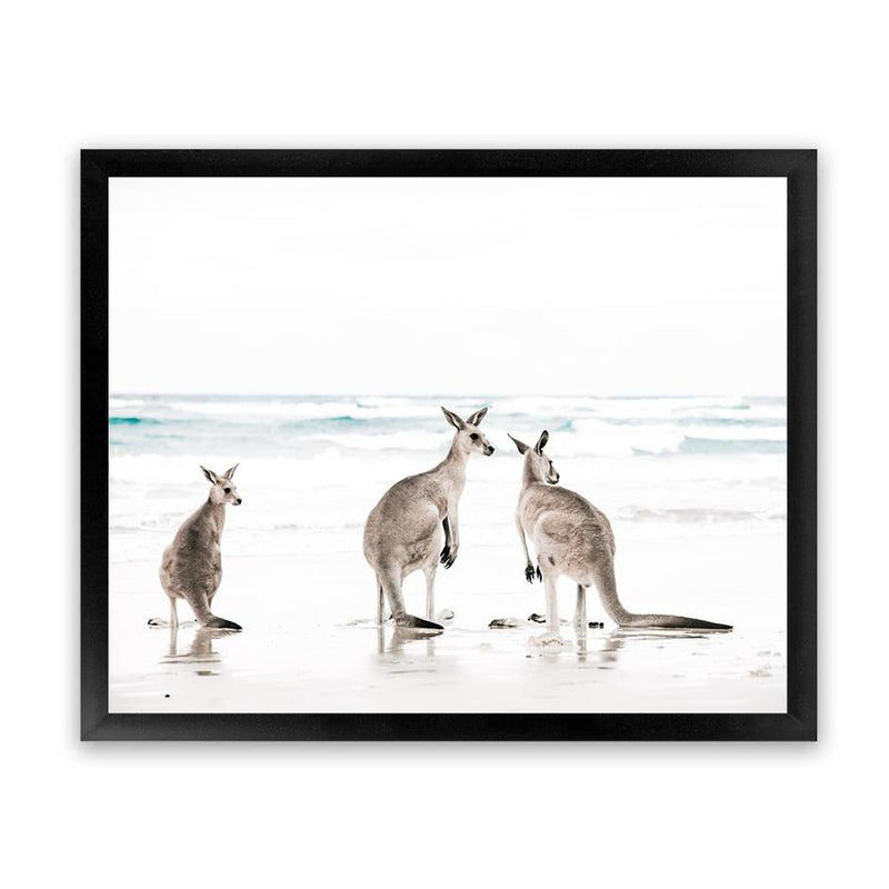 Shop Three Kangaroos Photo Art Print-Animals, Boho, Coastal, Landscape, Neutrals, Photography, View All, White-framed poster wall decor artwork