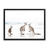 Shop Three Kangaroos Photo Canvas Art Print-Animals, Boho, Coastal, Landscape, Neutrals, Photography, Photography Canvas Prints, View All, White-framed wall decor artwork