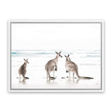 Shop Three Kangaroos Photo Canvas Art Print-Animals, Boho, Coastal, Landscape, Neutrals, Photography, Photography Canvas Prints, View All, White-framed wall decor artwork