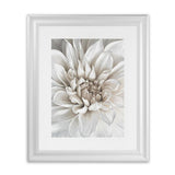 Shop White Dahlia Art Print-Florals, Hamptons, Portrait, View All, White-framed painted poster wall decor artwork
