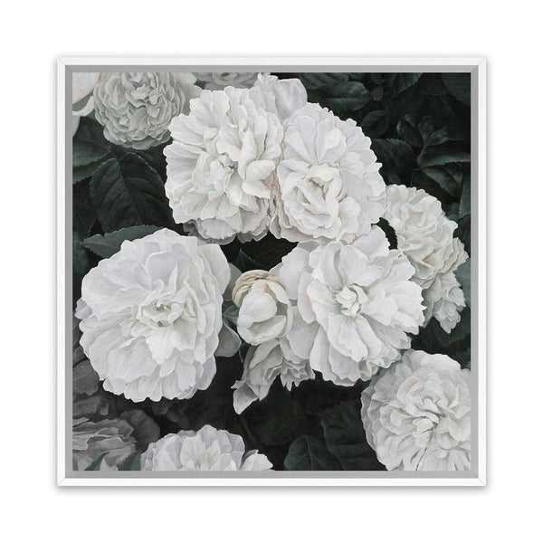 Shop White English Roses (Square) Canvas Art Print-Botanicals, Florals, Hamptons, Square, View All, White-framed wall decor artwork