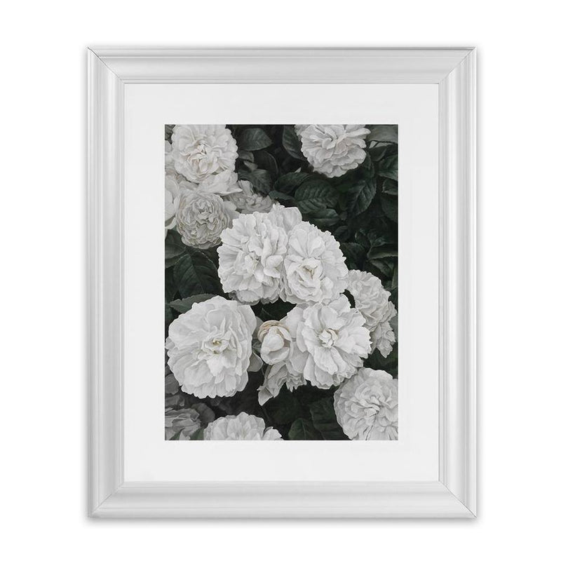 Shop White English Roses Art Print-Florals, Green, Hamptons, Portrait, View All, White-framed painted poster wall decor artwork