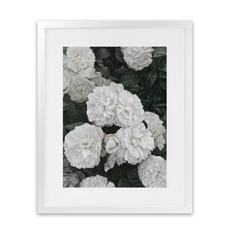 Shop White English Roses Art Print-Florals, Green, Hamptons, Portrait, View All, White-framed painted poster wall decor artwork